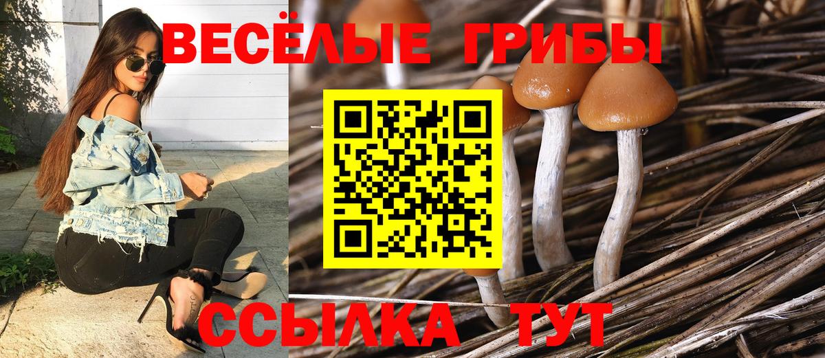 Псилоцибиновые грибы мицелий Нижний Тагил