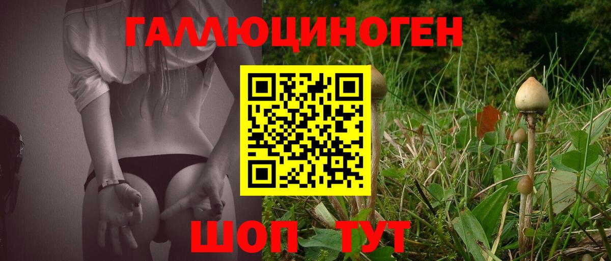 Псилоцибиновые грибы GOLDEN TEACHER  Вход с VPN  Нижний Тагил 